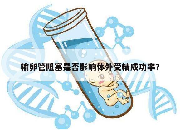 输卵管阻塞是否影响体外受精成功率?