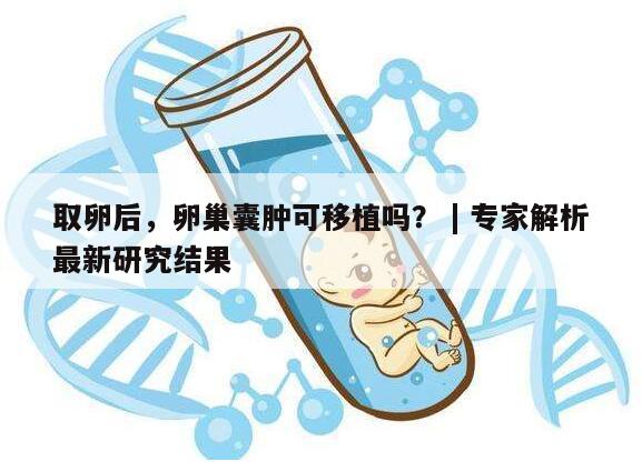 取卵后，卵巢囊肿可移植吗？ | 专家解析最新研究结果