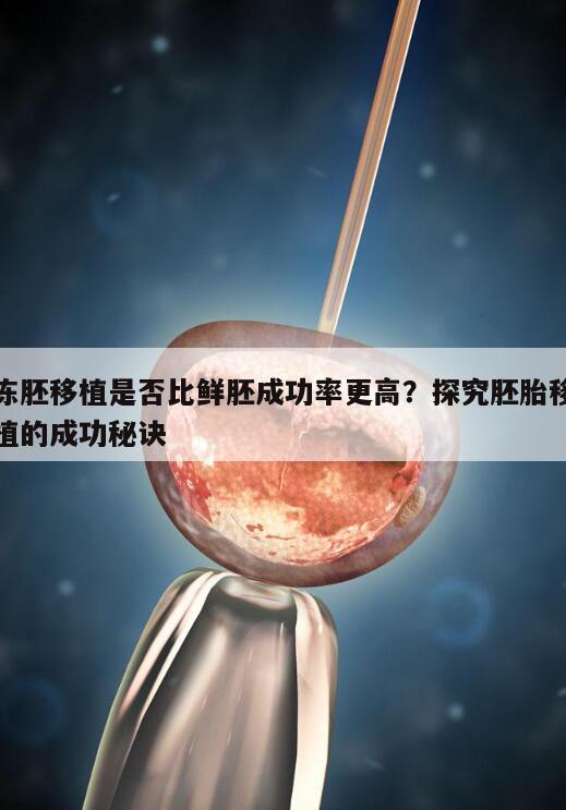 冻胚移植是否比鲜胚成功率更高?探究胚胎移植的成功秘诀