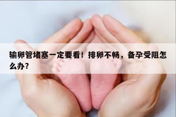 输卵管堵塞一定要看!排卵不畅,备孕受阻怎么办?
