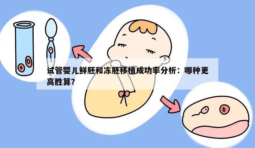 试管婴儿鲜胚和冻胚移植成功率分析:哪种更高胜算?