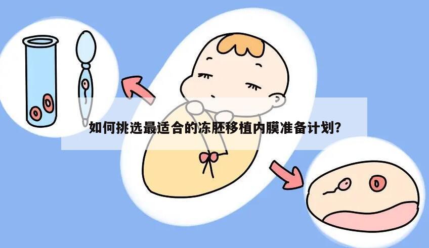 如何挑选最适合的冻胚移植内膜准备计划?