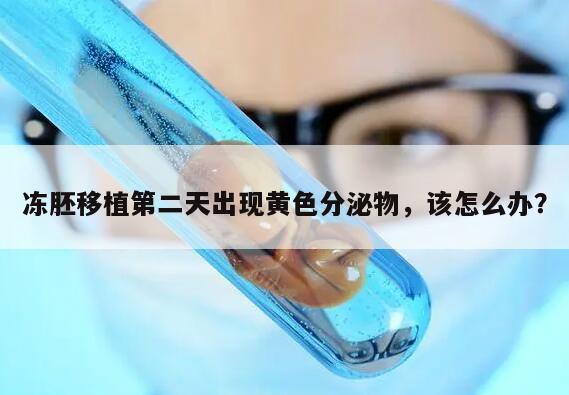 冻胚移植第二天出现黄色分泌物,该怎么办?