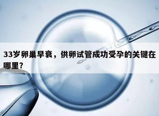 33岁卵巢早衰,供卵试管成功受孕的关键在哪里?