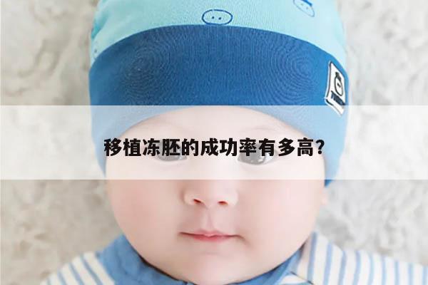 移植冻胚的成功率有多高?