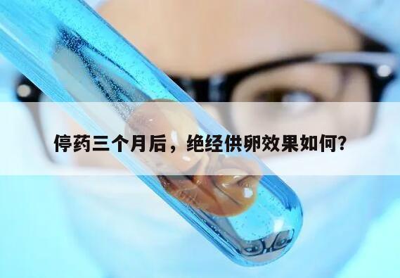 停药三个月后,绝经供卵效果如何?