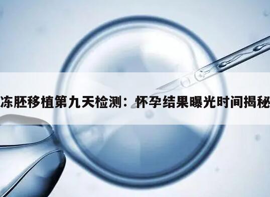 冻胚移植第九天检测:怀孕结果曝光时间揭秘
