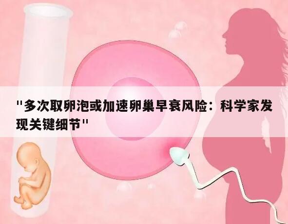 "多次取卵泡或加速卵巢早衰风险:科学家发现关键细节"