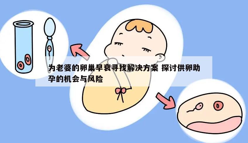 为老婆的卵巢早衰寻找解决方案 探讨供卵助孕的机会与风险