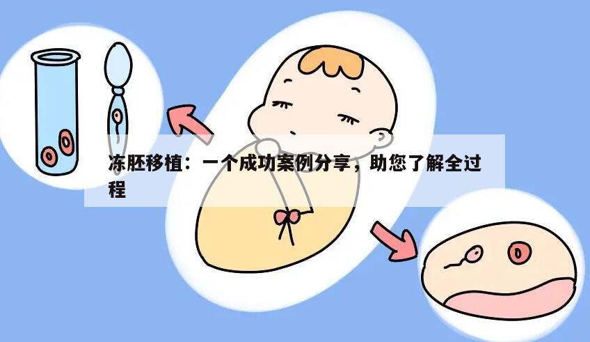 冻胚移植:一个成功案例分享,助您了解全过程