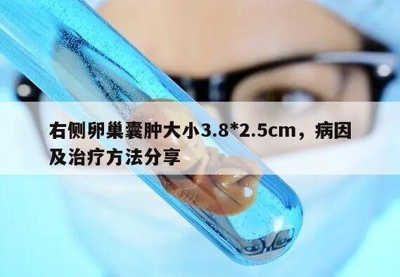 右侧卵巢囊肿大小3.8*2.5cm,病因及治疗方法分享