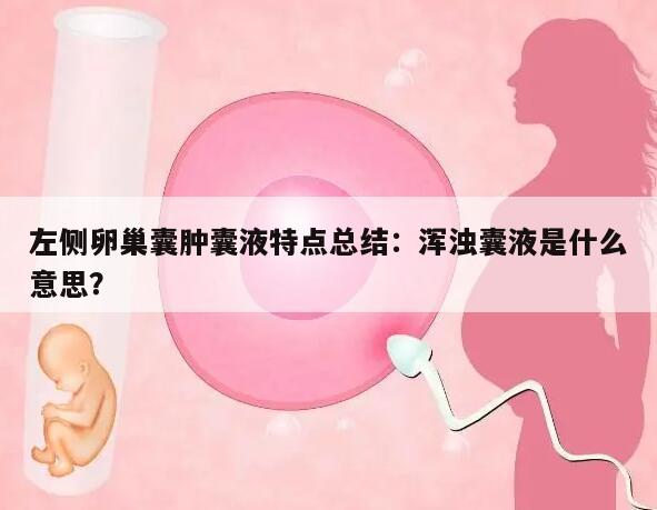 左侧卵巢囊肿囊液特点总结:浑浊囊液是什么意思?