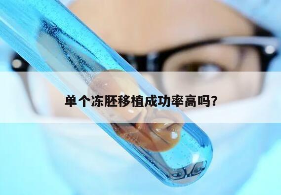 单个冻胚移植成功率高吗？