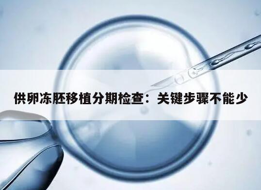 供卵冻胚移植分期检查：关键步骤不能少