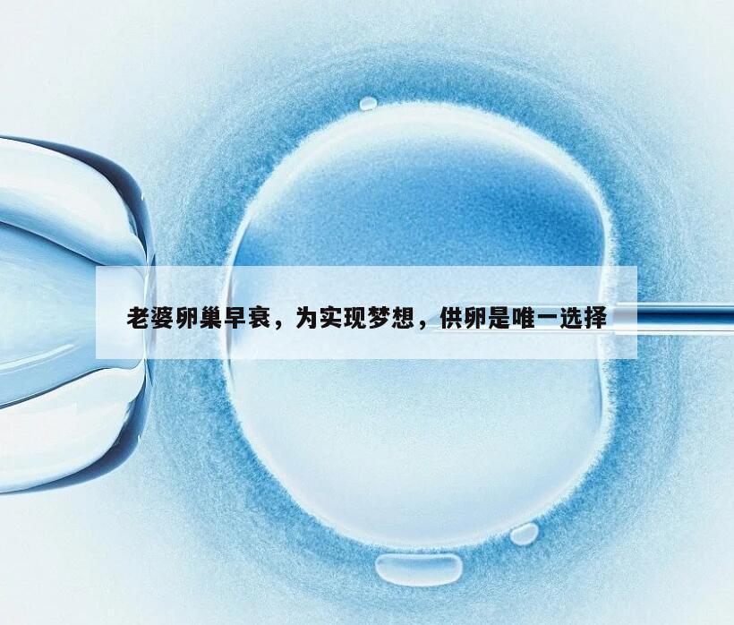 老婆卵巢早衰,为实现梦想,供卵是唯一选择