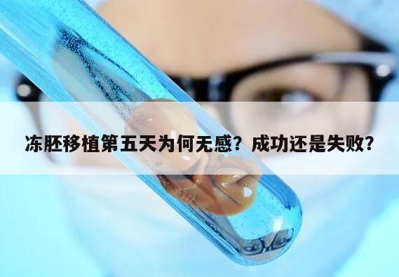 冻胚移植第五天为何无感?成功还是失败?