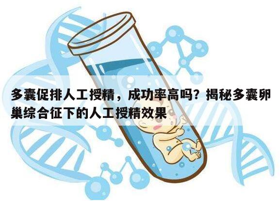 多囊促排人工授精,成功率高吗?揭秘多囊卵巢综合征下的人工授精效果