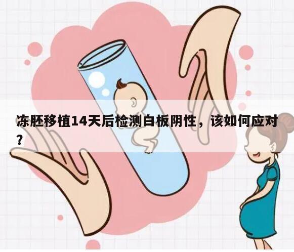 冻胚移植14天后检测白板阴性,该如何应对?