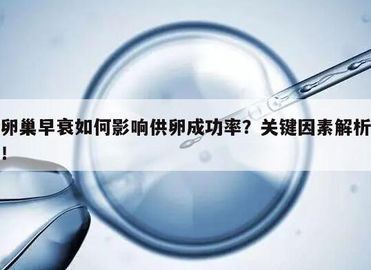 卵巢早衰如何影响供卵成功率？关键因素解析！