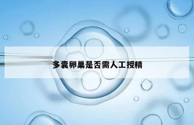 多囊卵巢是否需人工授精