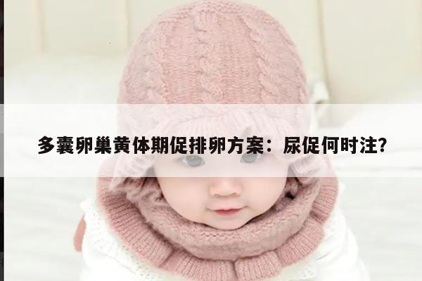 多囊卵巢黄体期促排卵方案:尿促何时注?
