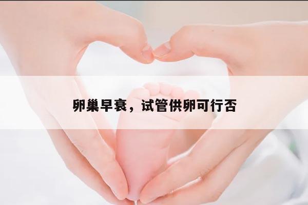 卵巢早衰,试管供卵可行否