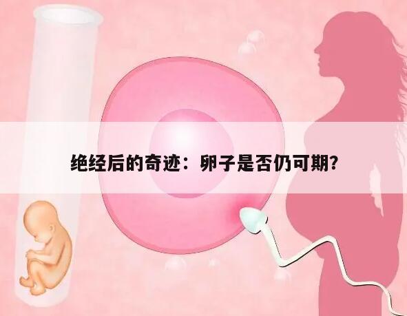 绝经后的奇迹：卵子是否仍可期？