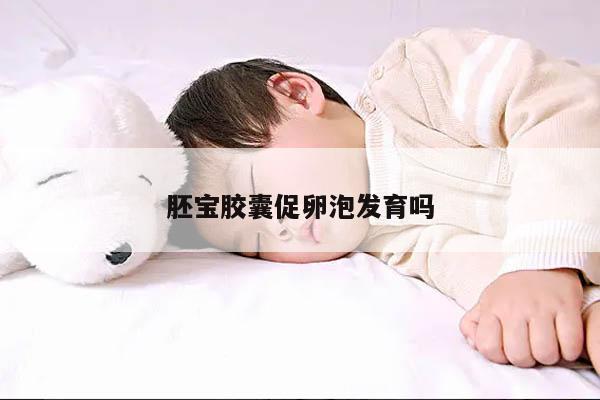 胚宝胶囊促卵泡发育吗