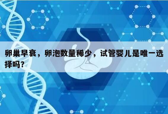 卵巢早衰,卵泡数量稀少,试管婴儿是唯一选择吗?