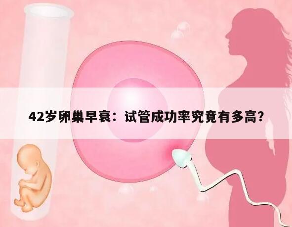 42岁卵巢早衰:试管成功率究竟有多高?