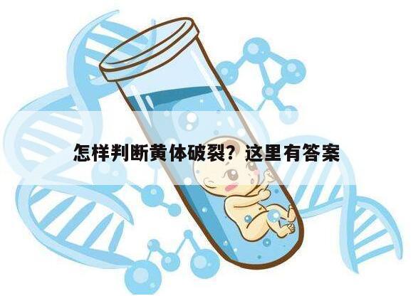 怎样判断黄体破裂?这里有答案