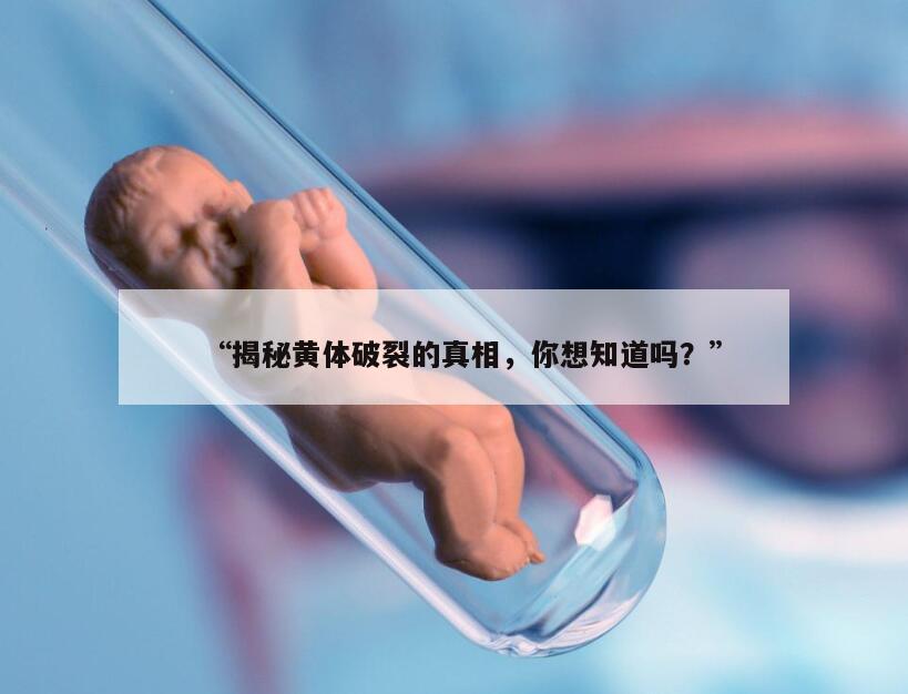 “揭秘黄体破裂的真相，你想知道吗？”