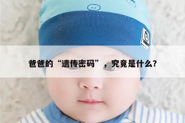 爸爸的“遗传密码”,究竟是什么?