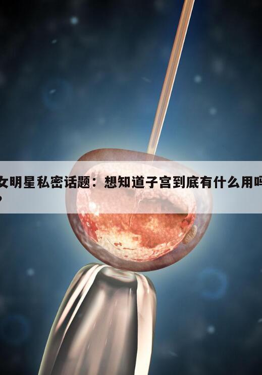 女明星私密话题:想知道子宫到底有什么用吗?