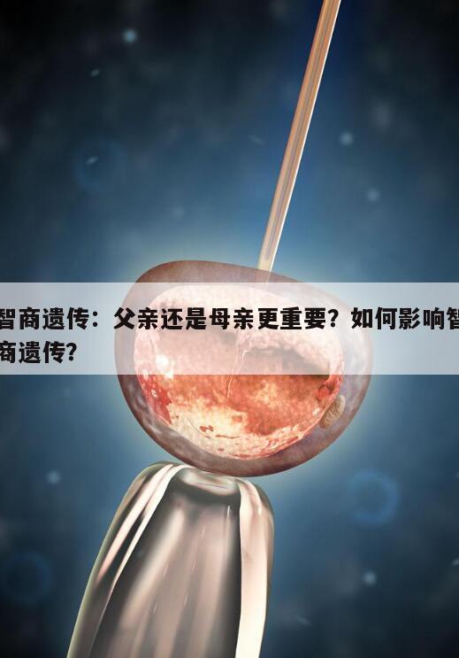 智商遗传:父亲还是母亲更重要?如何影响智商遗传?