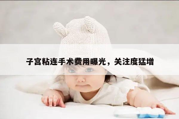 子宫粘连手术费用曝光,关注度猛增