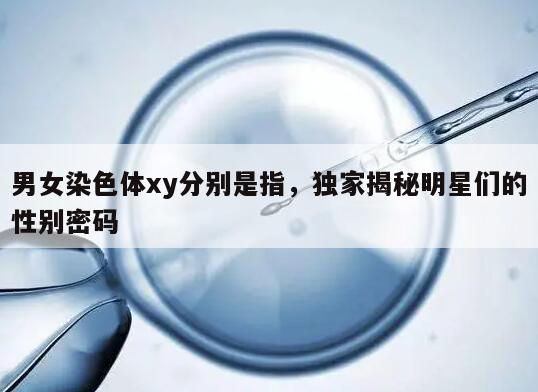 男女染色体xy分别是指,独家揭秘明星们的性别密码