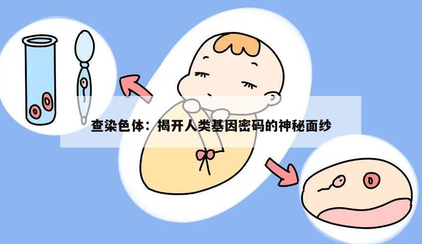 查染色体：揭开人类基因密码的神秘面纱