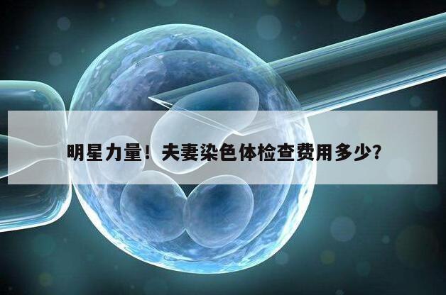 明星力量！夫妻染色体检查费用多少？