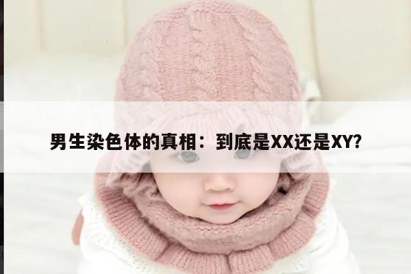 男生染色体的真相:到底是XX还是XY?