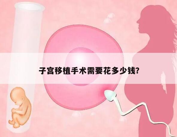 子宫移植手术需要花多少钱?
