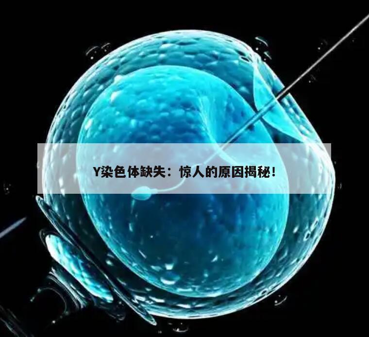 Y染色体缺失：惊人的原因揭秘！