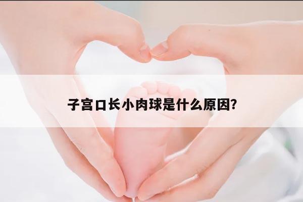 子宫口长小肉球是什么原因?