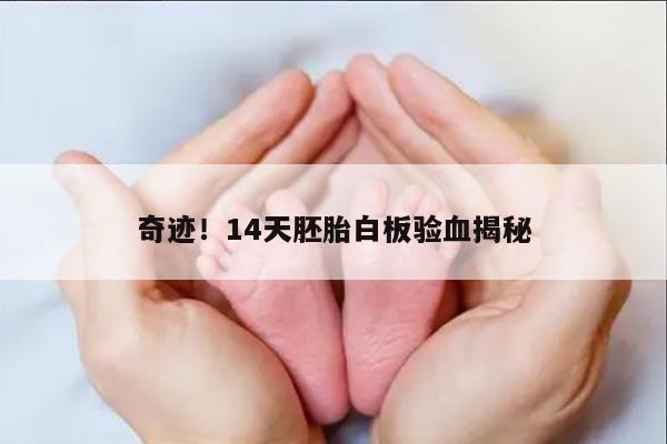 奇迹!14天胚胎白板验血揭秘