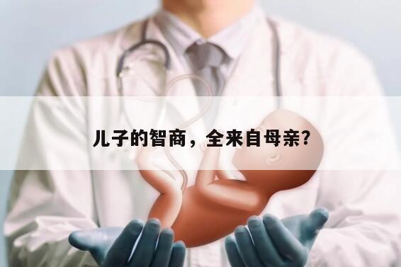 儿子的智商,全来自母亲?
