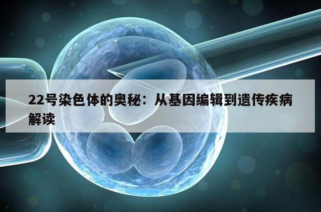 22号染色体的奥秘:从基因编辑到遗传疾病解读