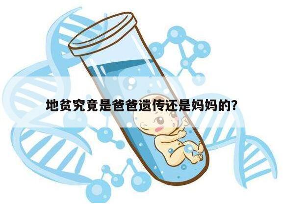地贫究竟是爸爸遗传还是妈妈的?