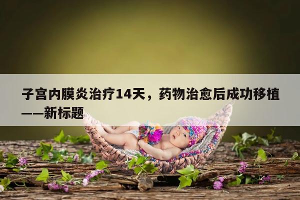 子宫内膜炎治疗14天，药物治愈后成功移植——新标题