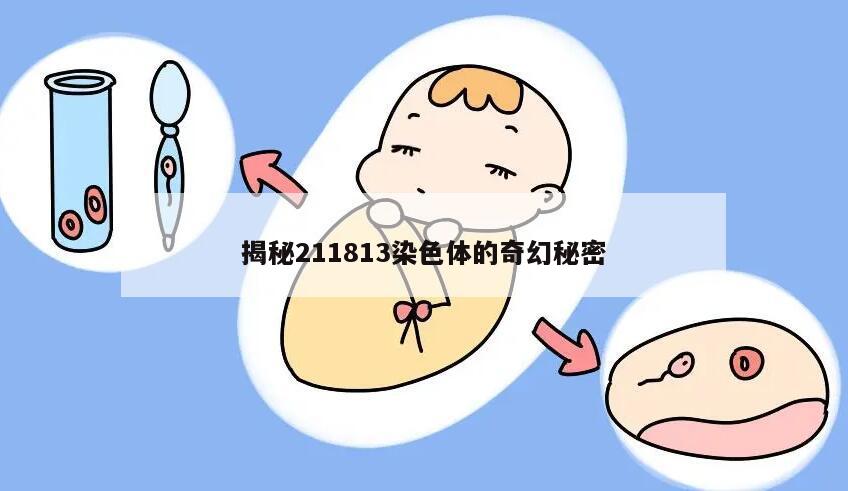 揭秘211813染色体的奇幻秘密