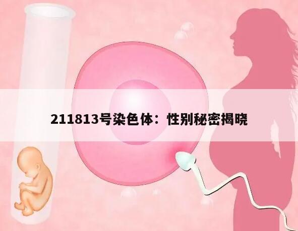211813号染色体:性别秘密揭晓